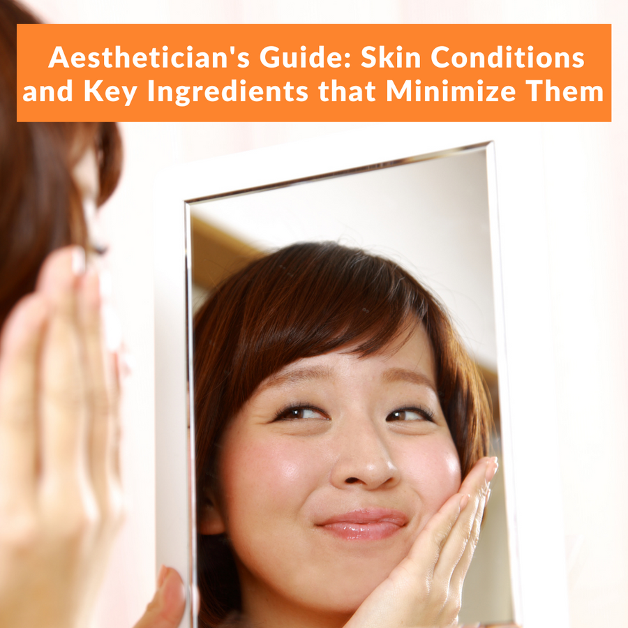 Aesthetician's Guide: Skin Conditions and Key Ingredients that Minimize Them