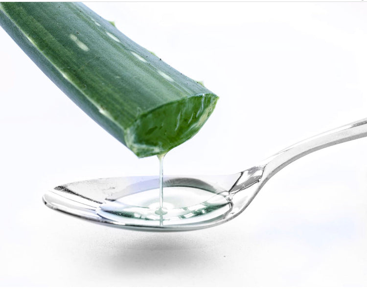 Aloe Vera's Has Multiple Benefits For The Face and Skin  - Serumize Skin